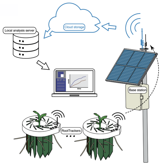 RootTracker: In-Field Root sensing – Jeffrey Aguilar