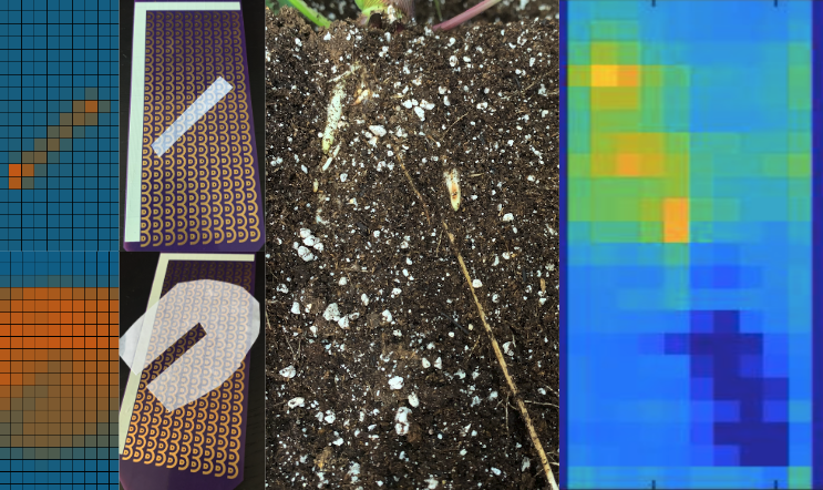 Higher resolution root sensing – Jeffrey Aguilar